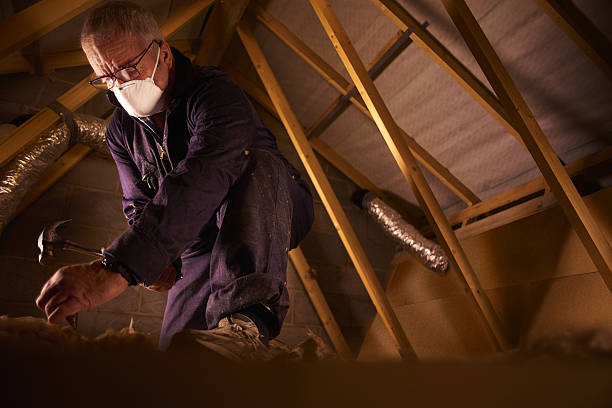 Best Insulation Removal  in Airmont, NY